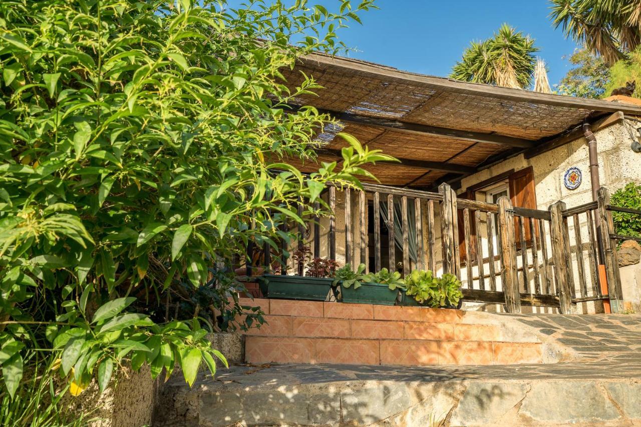 Casitas En El Paraiso Candelaria Eksteriør bilde